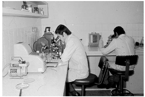 Fig 2. Physical unit, laboratory and restoration workshop during 1970s.